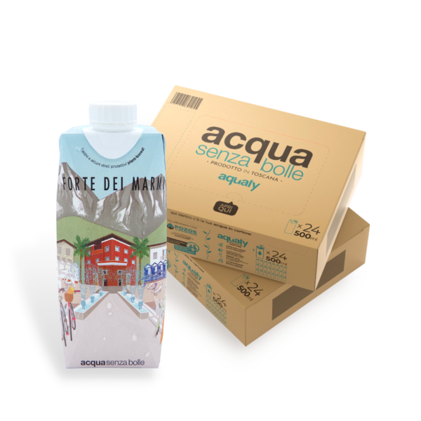 Forte dei Marmi - 24 brick da 500ml - immagine 4